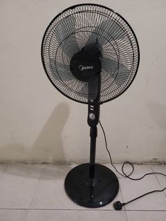 Media standing fan