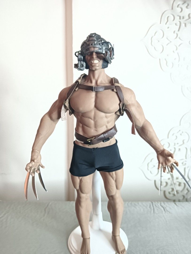 Phicen sales head sculpt