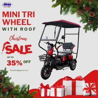 Rfm mini triwheel with roof ebike electric bike 3-wheel ecobike tri-wheel etrike