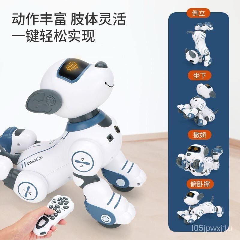 STEMTRON Intelligent Voice Controlled Smart Remote Control Robot(White)