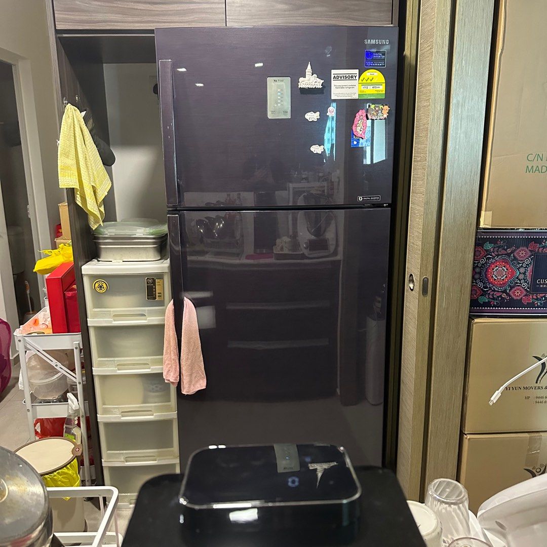 Samsung 533L 2 door Fridge RT53H6377UT, TV & Home Appliances, Kitchen