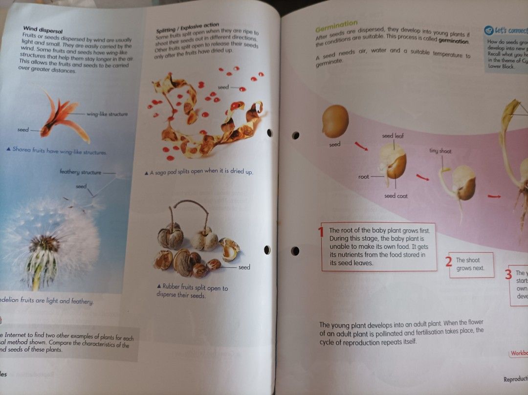 Science Textbooks for P5 P6, Hobbies & Toys, Books & Magazines ...