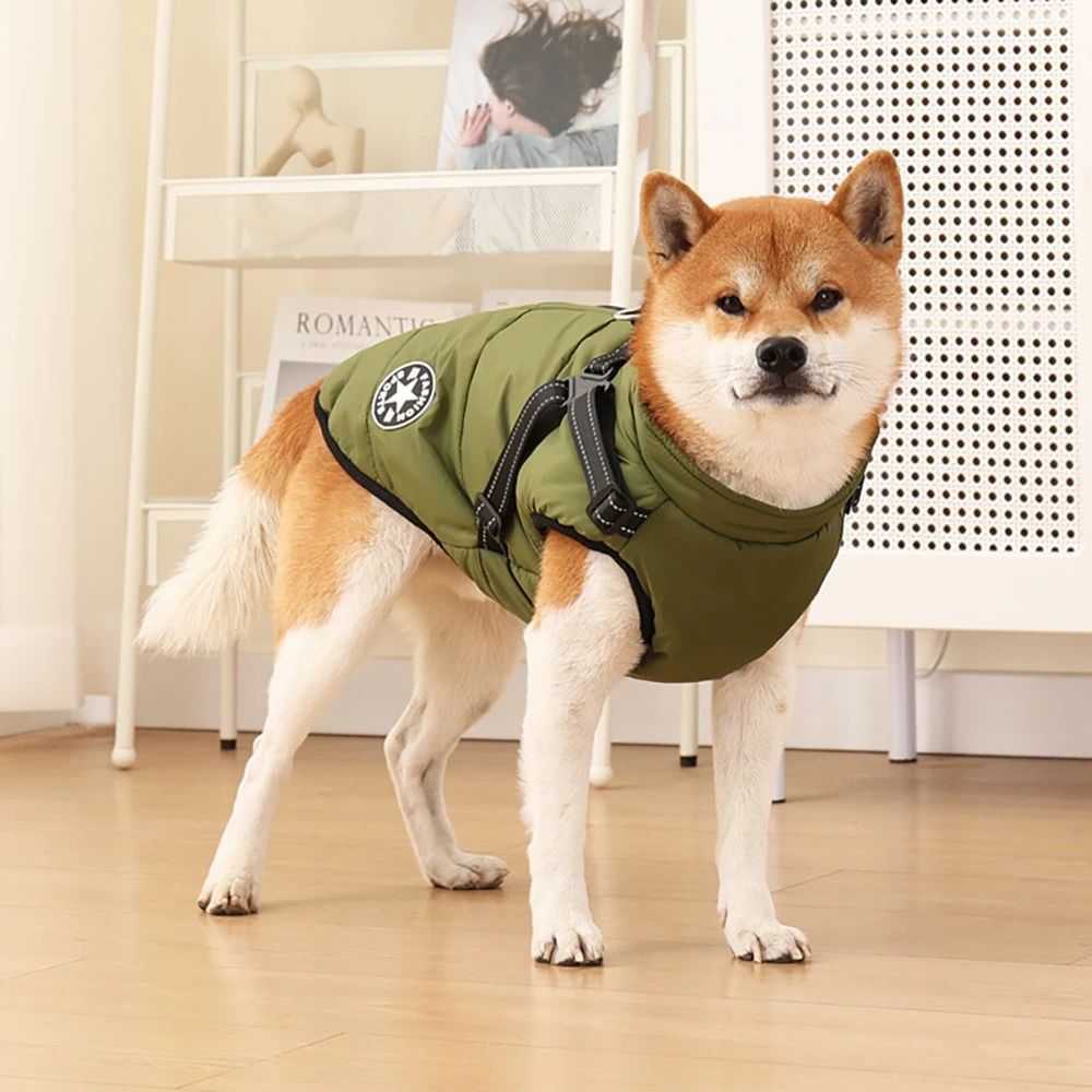 5xl top dog clothes