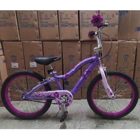 Schwinn Deelite 20 Kids Bike
