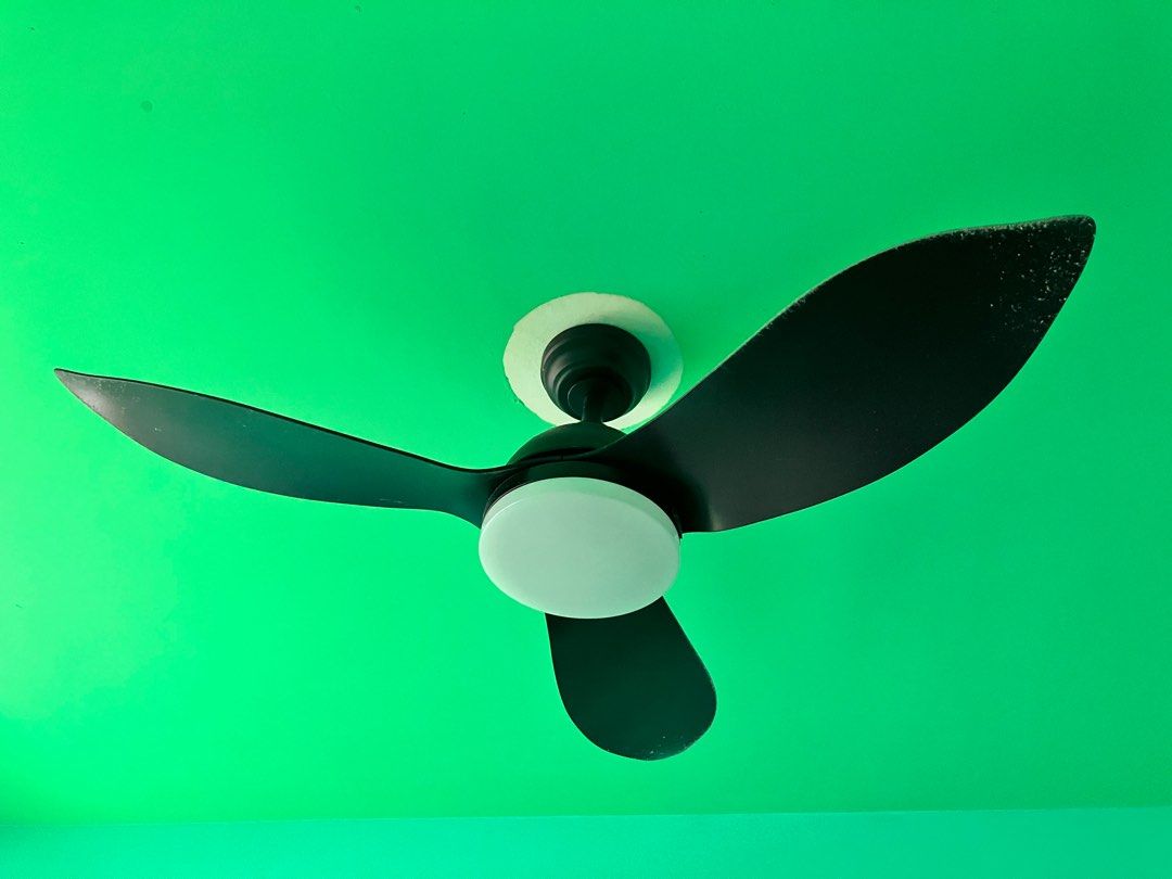 Bestar Raptor ceiling fan with light, Furniture & Home Living, Lighting ...