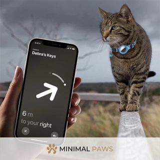 (Category: ) located in . Submitted by minimalpaws (Listing ID 1270743390, Image 1). Description: .