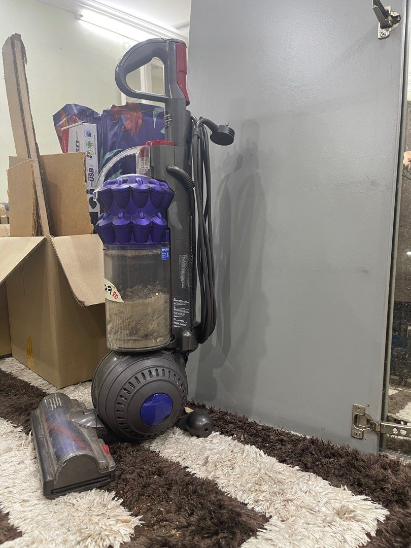 Dyson DC50 Animal Upright Vacuum Cleaner, TV & Home Appliances, Vacuum