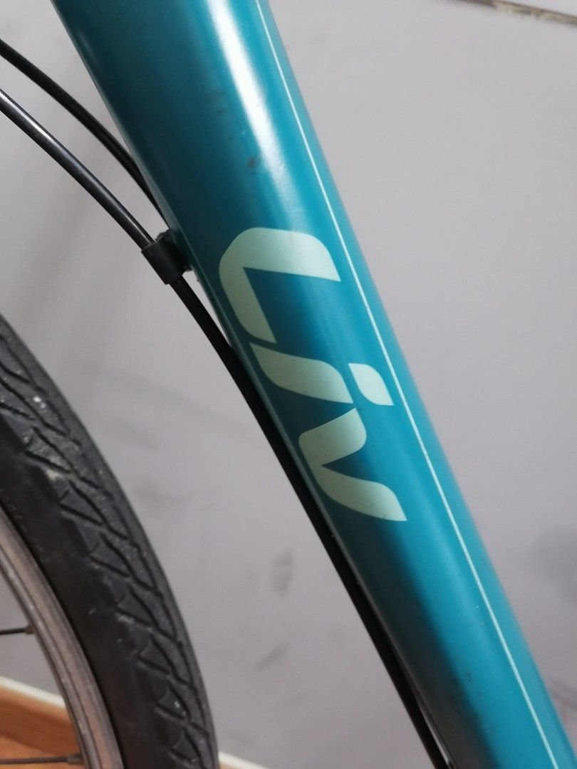 Liv bike alight 2025 3