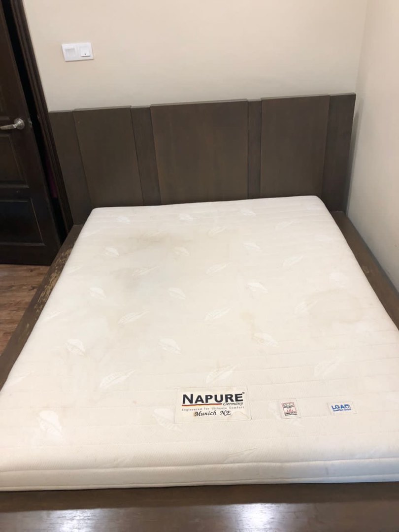 Harvey Norman Bed Frame & Tilam Latex, Furniture & Home Living