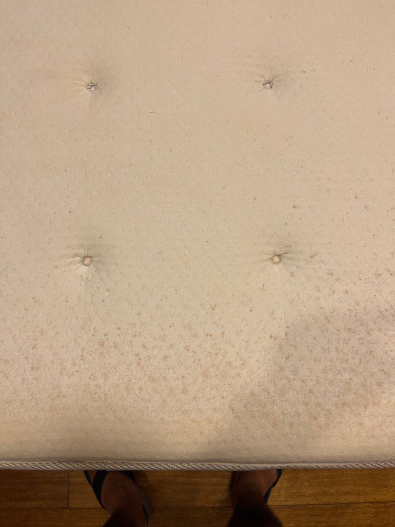 Hesseng mattress ikea, Furniture & Home Living, Furniture, Bed Frames