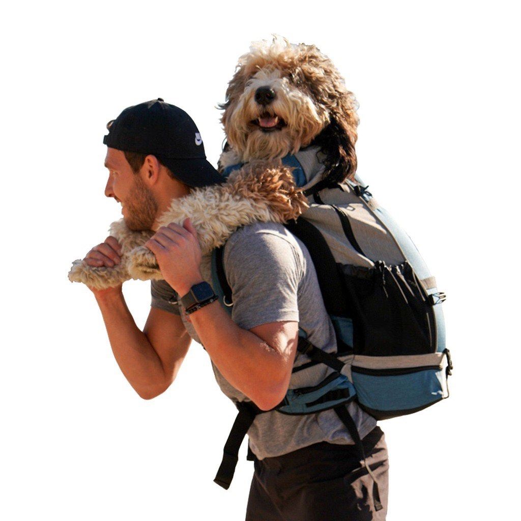 K9 sport sack rover dog carrier backpack Men s Fashion Bags