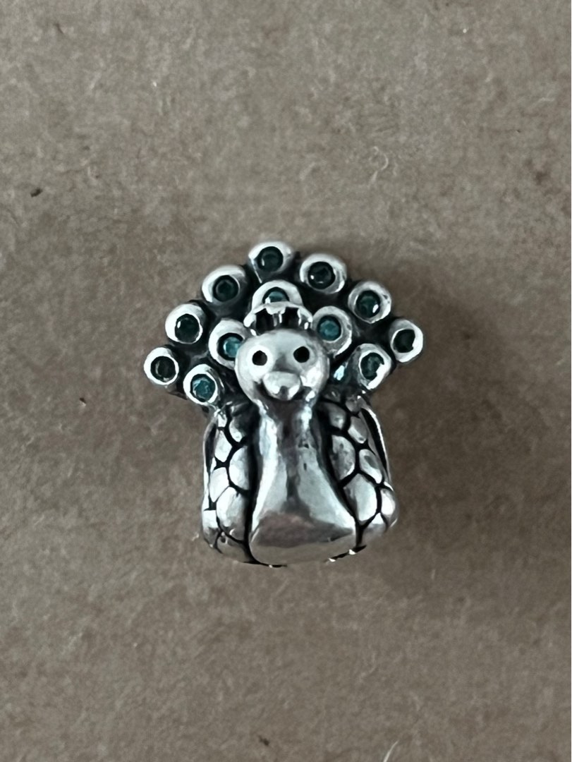 Pandora charm Women s Fashion Jewelry Organisers Charms on