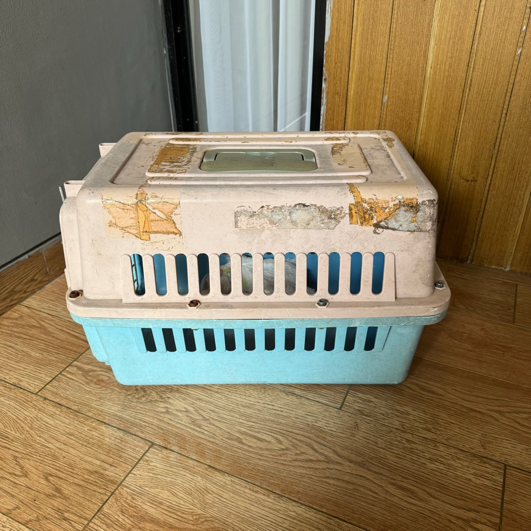 [PICKUP] PETCARGO PETCARRIER TAS TRAVEL HEWAN KUCING ANJING KELICI MUSANG  MARMUT KELINCI PET CARGO KANNEL BOX