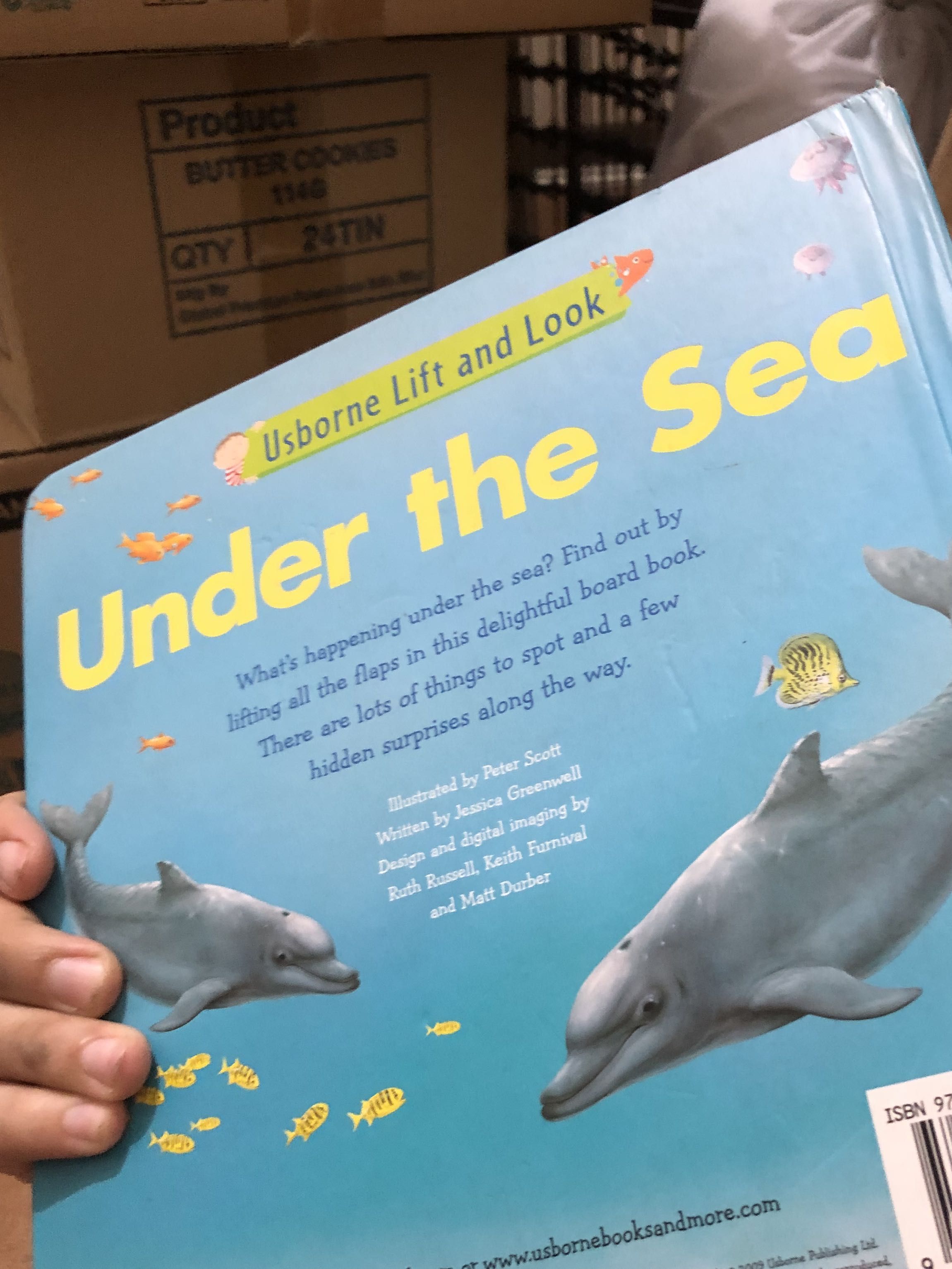 Usborne Lift and Look Under the Sea board book , Hobbies & Toys, Books ...