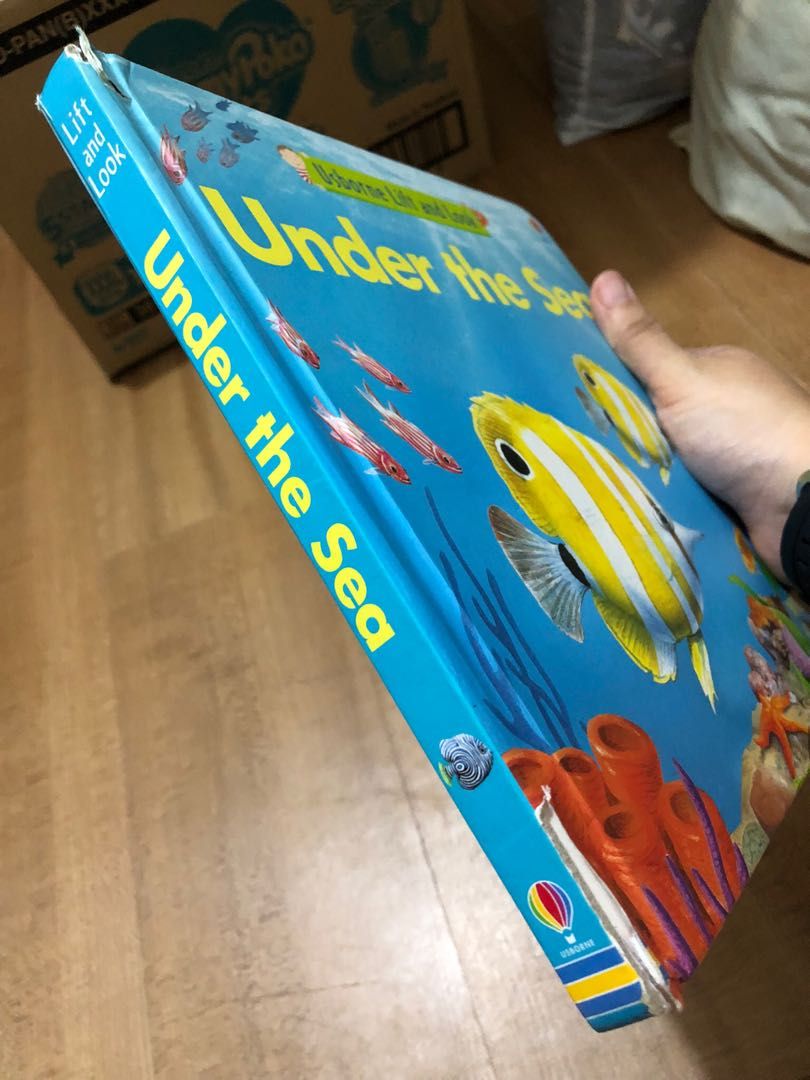 Usborne Lift and Look Under the Sea board book , Hobbies & Toys, Books ...