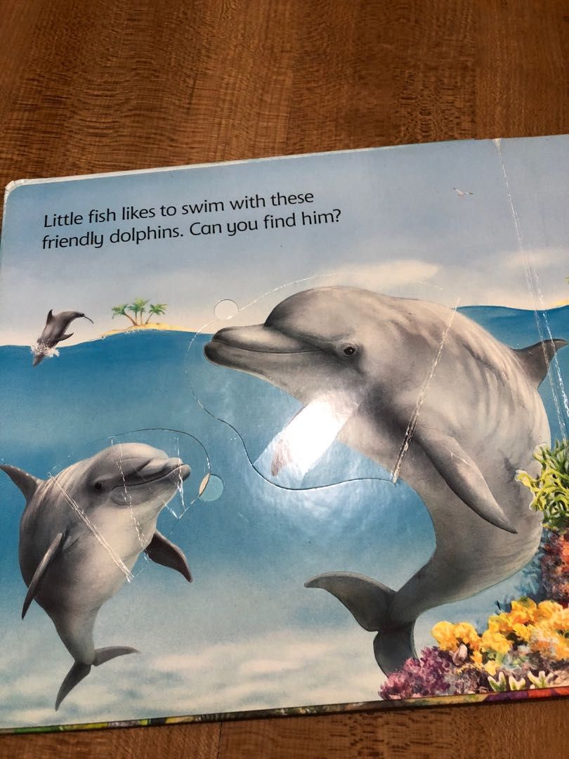 Usborne Lift and Look Under the Sea board book , Hobbies & Toys, Books ...