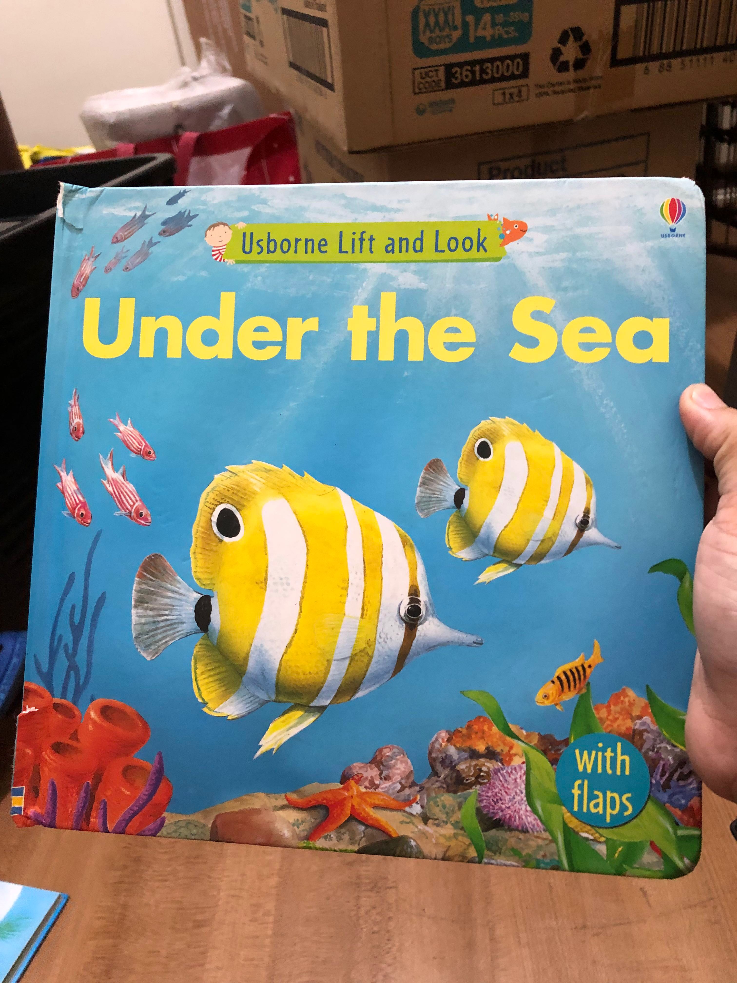 Usborne Lift and Look Under the Sea board book , Hobbies & Toys, Books ...