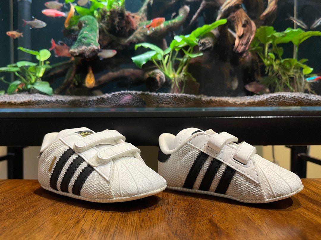 Adidas Superstar Crib Shoes Babies Kids Babies Kids Fashion on Carousell