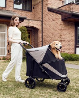 Lazy buddy shop dog stroller