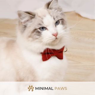 (Category: ) located in . Submitted by minimalpaws (Listing ID 1270934075, Image 1). Description: .