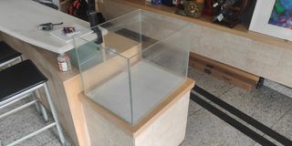 (Category: ) located in . Submitted by ambsire (Listing ID 1270847869, Image 1). Description: .