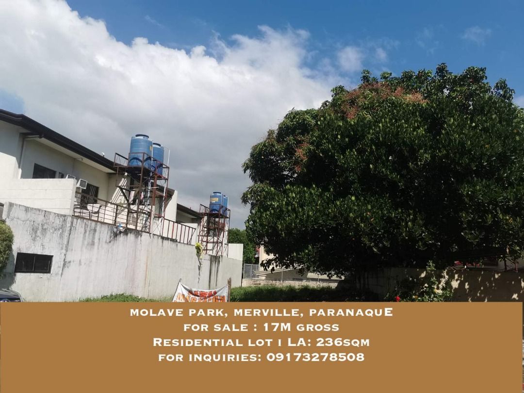 **direct listing** molave park, merville, paranaque 236sqm lot for sale, Property, For Sale, Lot
