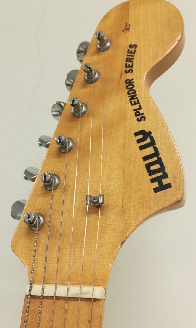 HOLLY SPLENDOR SERIES (8点セット) ほしい