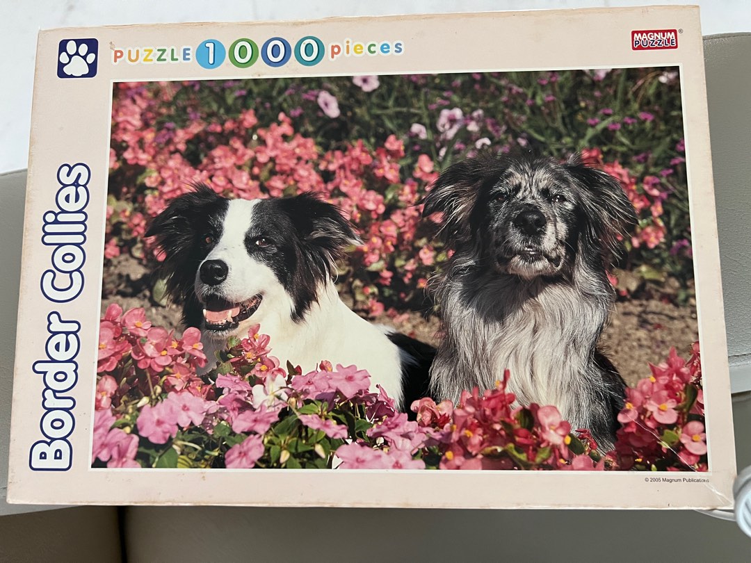 Border collie puzzle sales
