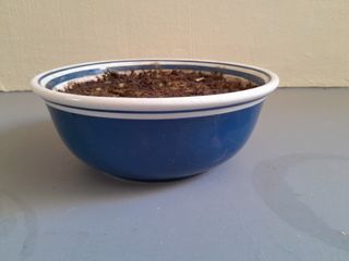 (Category: ) located in . Submitted by reich (Listing ID 1271163108, Image 1). Description: .