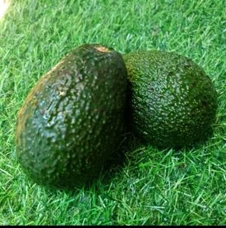 (Category: ) located in . Submitted by yanfruits (Listing ID 1271097906, Image 1). Description: .