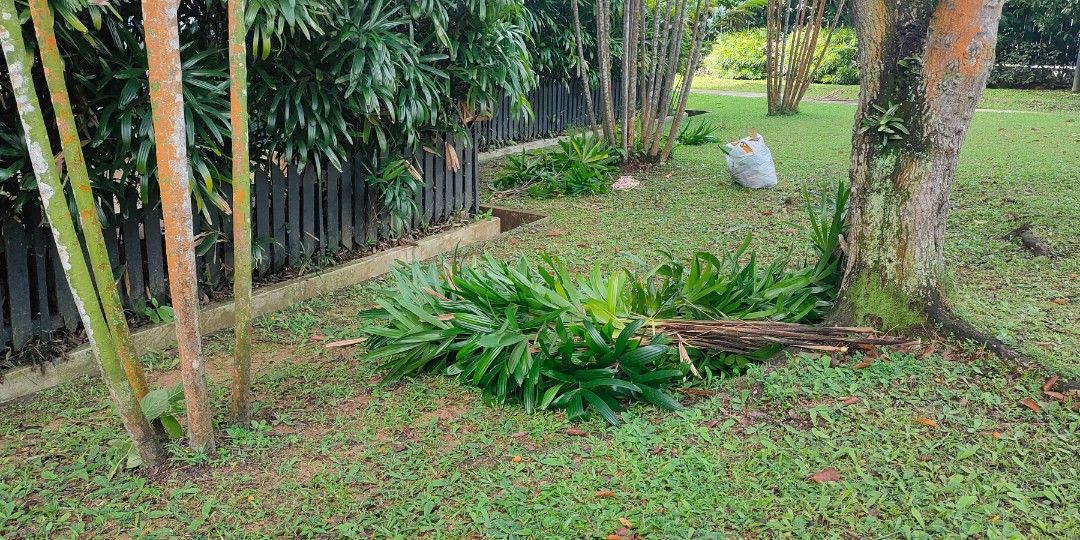 Garden Maintenance64884982007426112