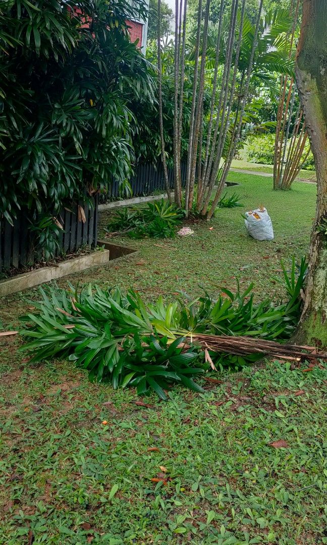 Garden Maintenance64884982007426110