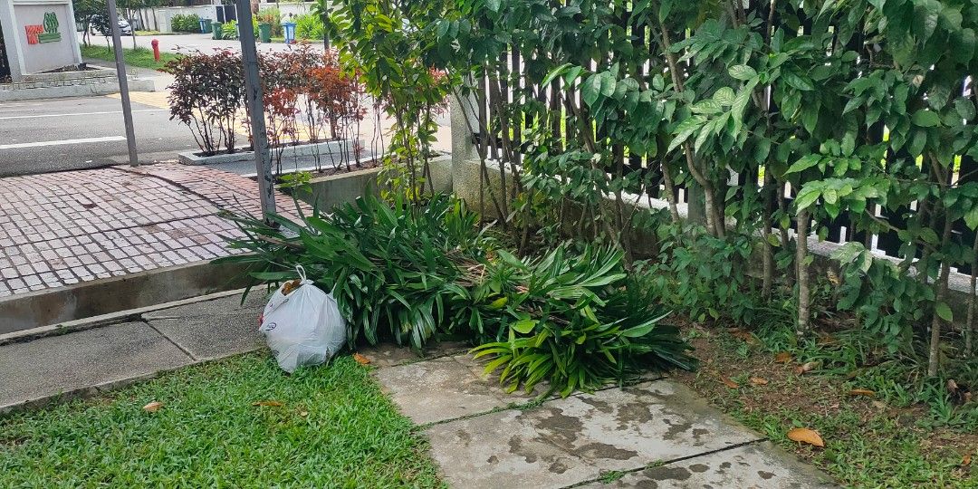 Garden Maintenance64884982007426115