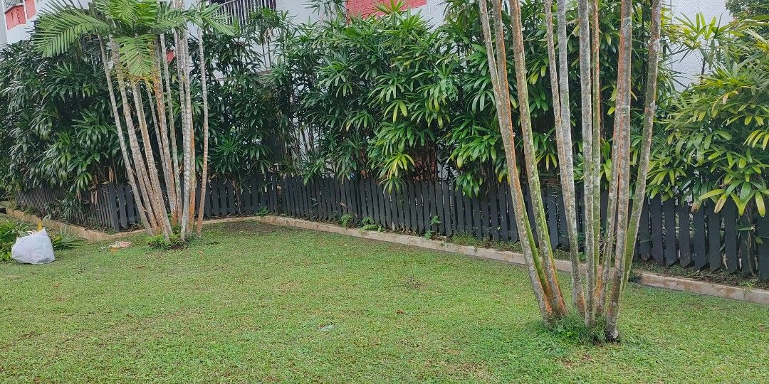 Garden Maintenance64884982007426111