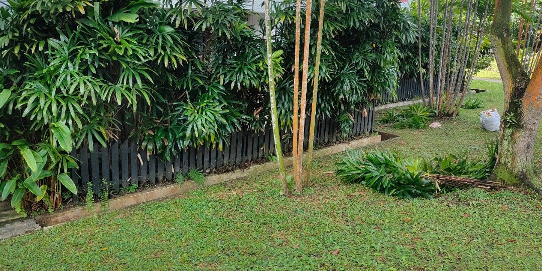 Garden Maintenance64884982007426116