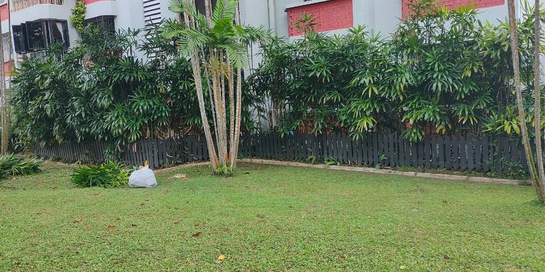 Garden Maintenance64884982007426113