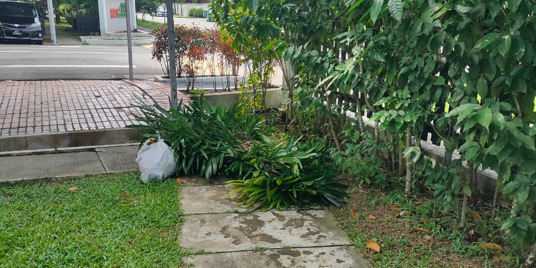 Garden Maintenance64884982007426114