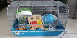 (Category: ) located in . Submitted by user51 (Listing ID 1271102327, Image 1). Description: .