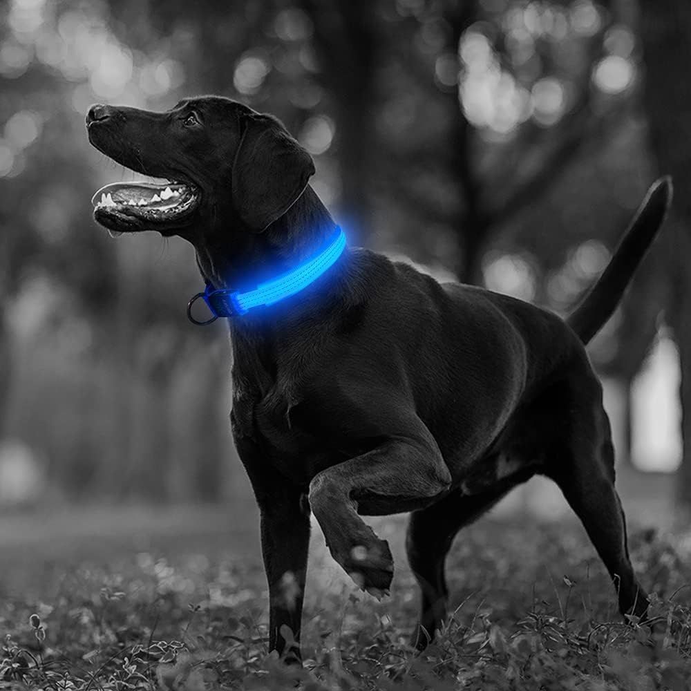 Illumifun LED Dog Collar USB Rechargeable Waterproof