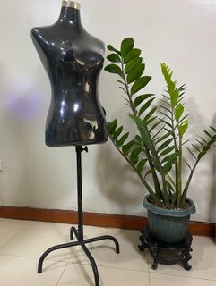 (Category: ) located in . Submitted by shopoh (Listing ID 1271031936, Image 1). Description: .