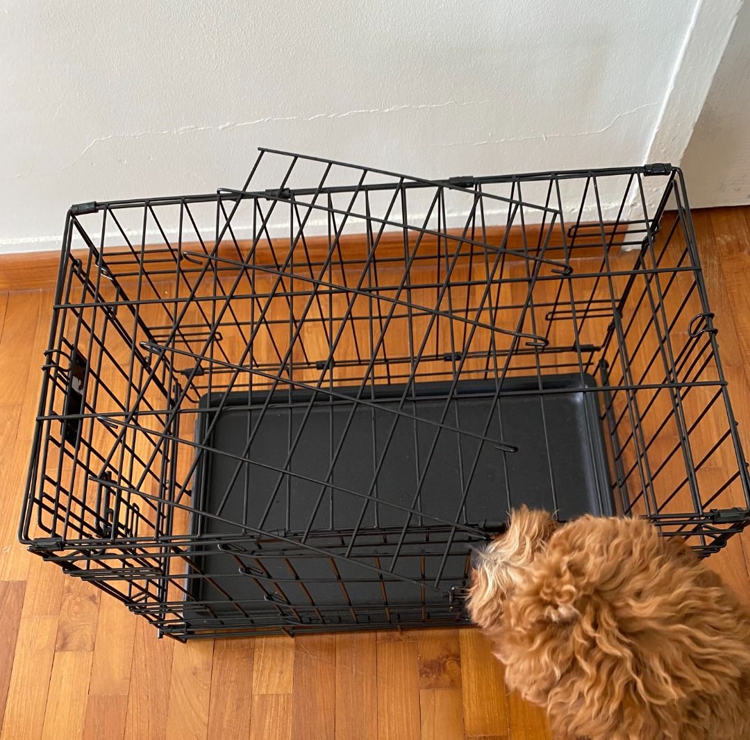 Mid West i Crate with separator divider for crate training Pet