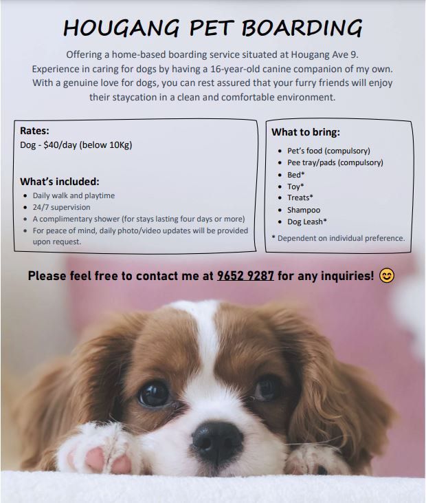 In home best sale pet boarding cost