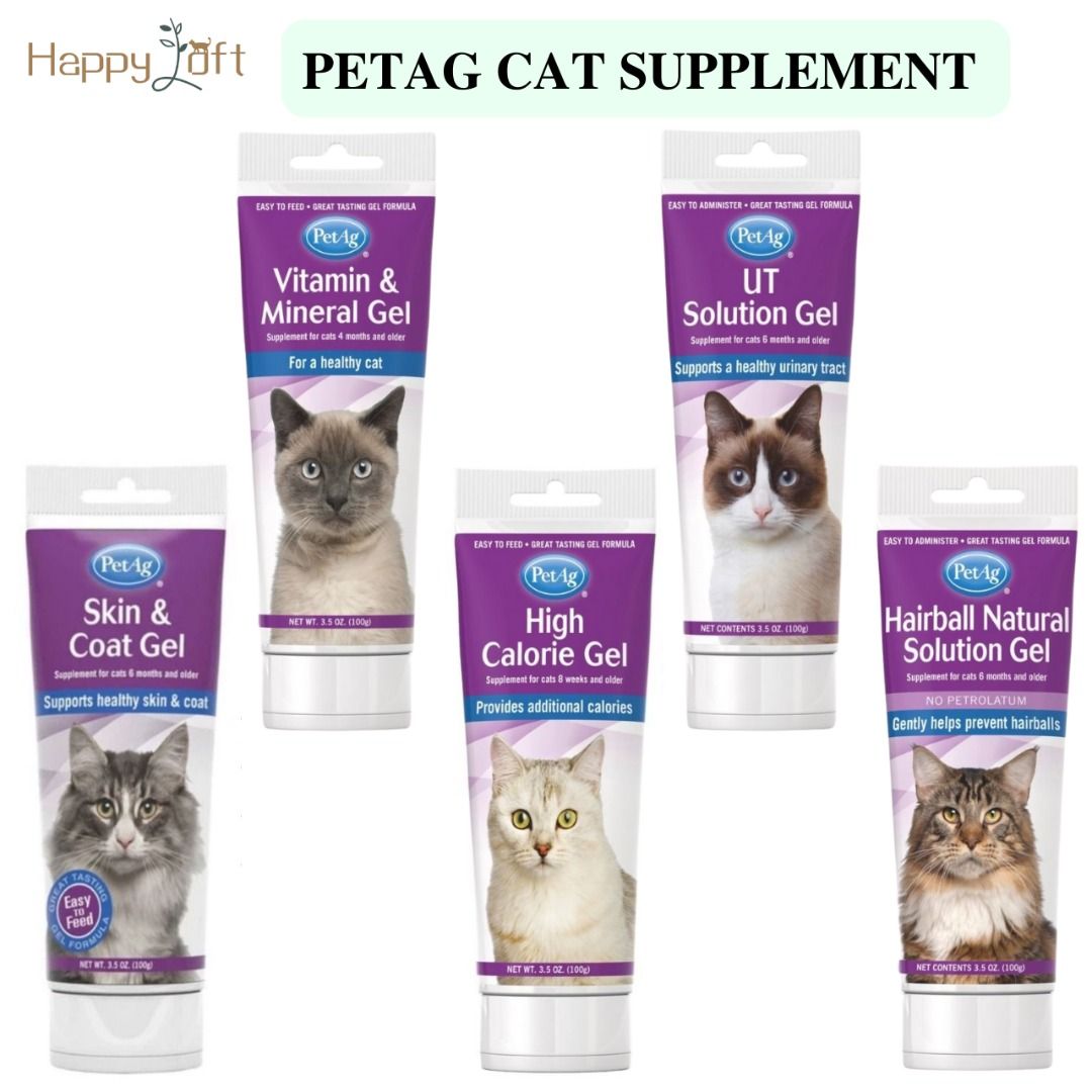 High calorie cat clearance food for old cats