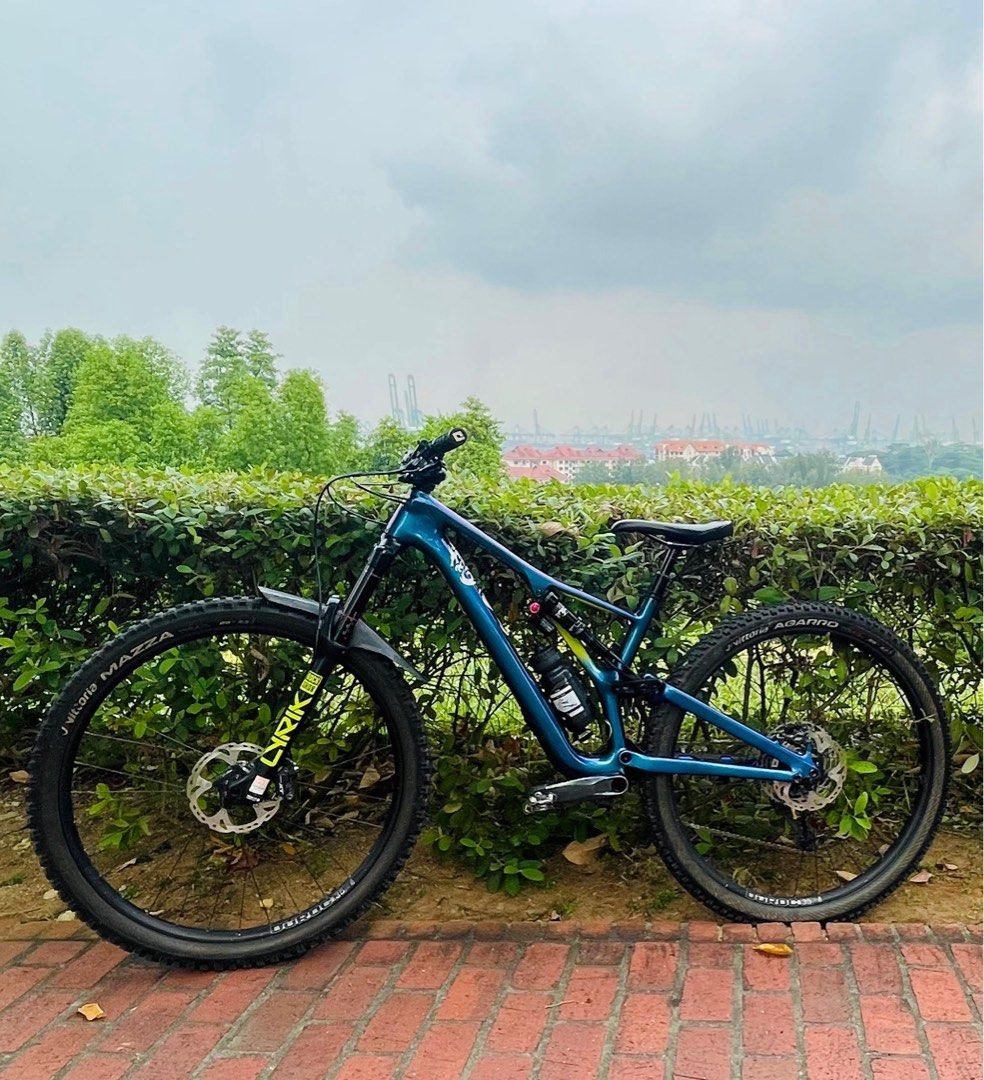 Specialized stumpjumper shop chameleon