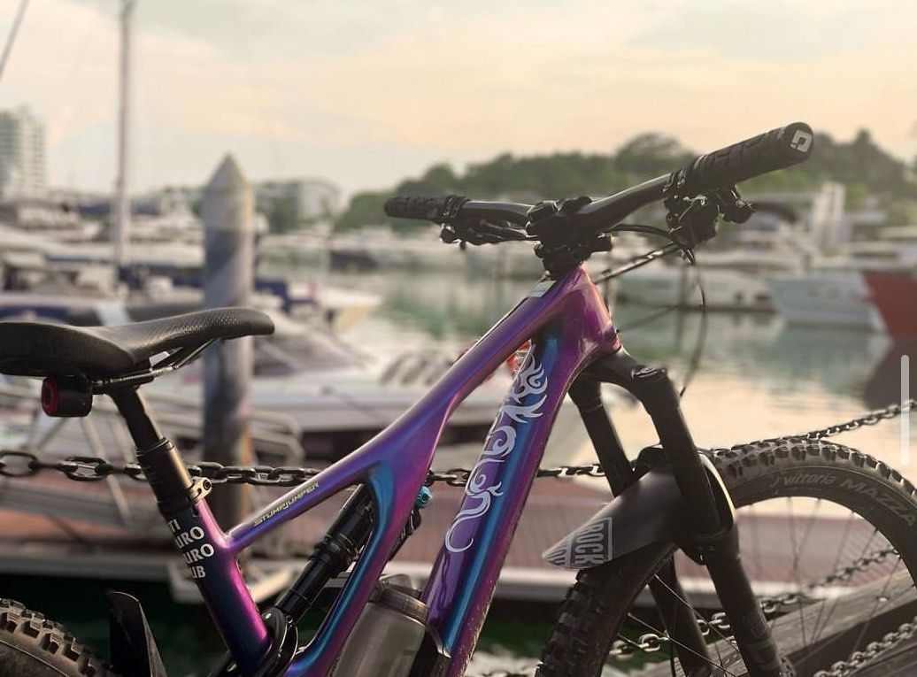 Stumpjumper chameleon outlet