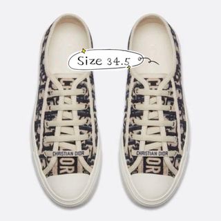 Christian dior shoes top sale