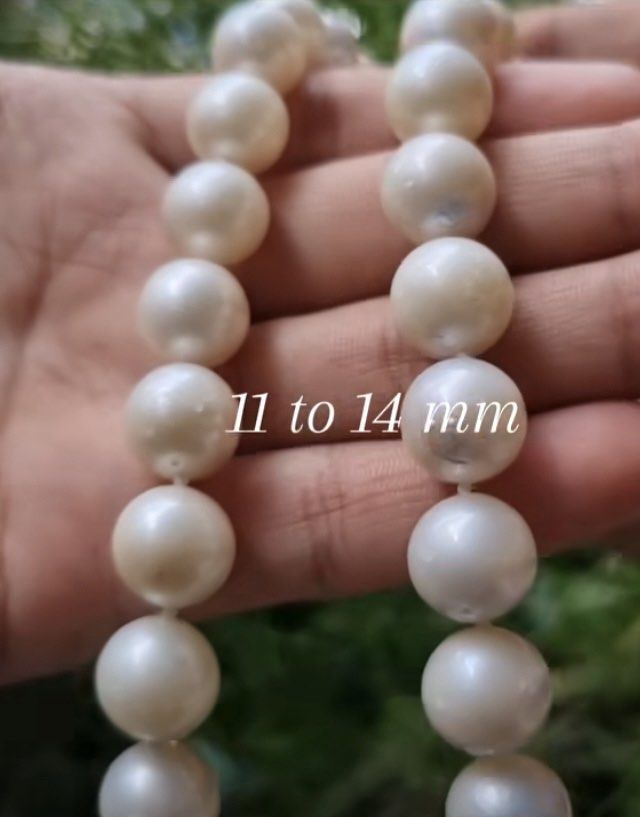 White South Sea Pearl Choker Graded AAA Women s Fashion Jewelry