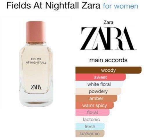 Perfume zara best sale fields at nightfall