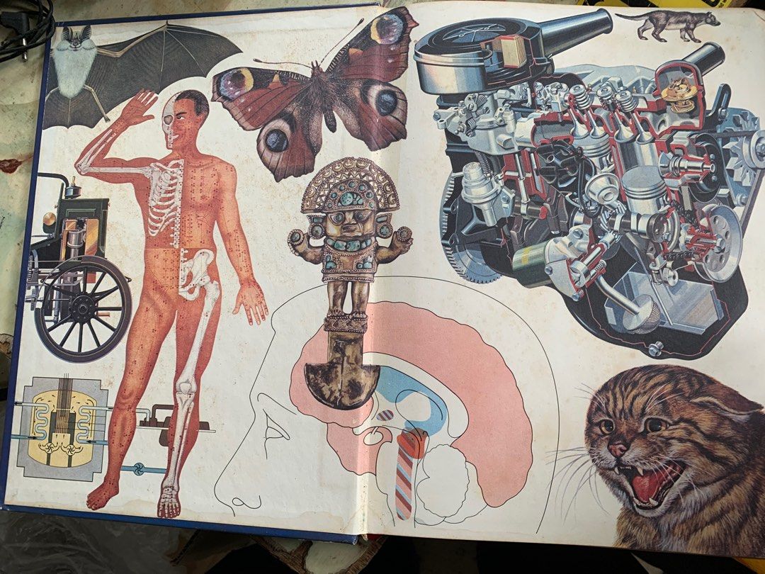 1500 FASCINATING FACTS visual data 4