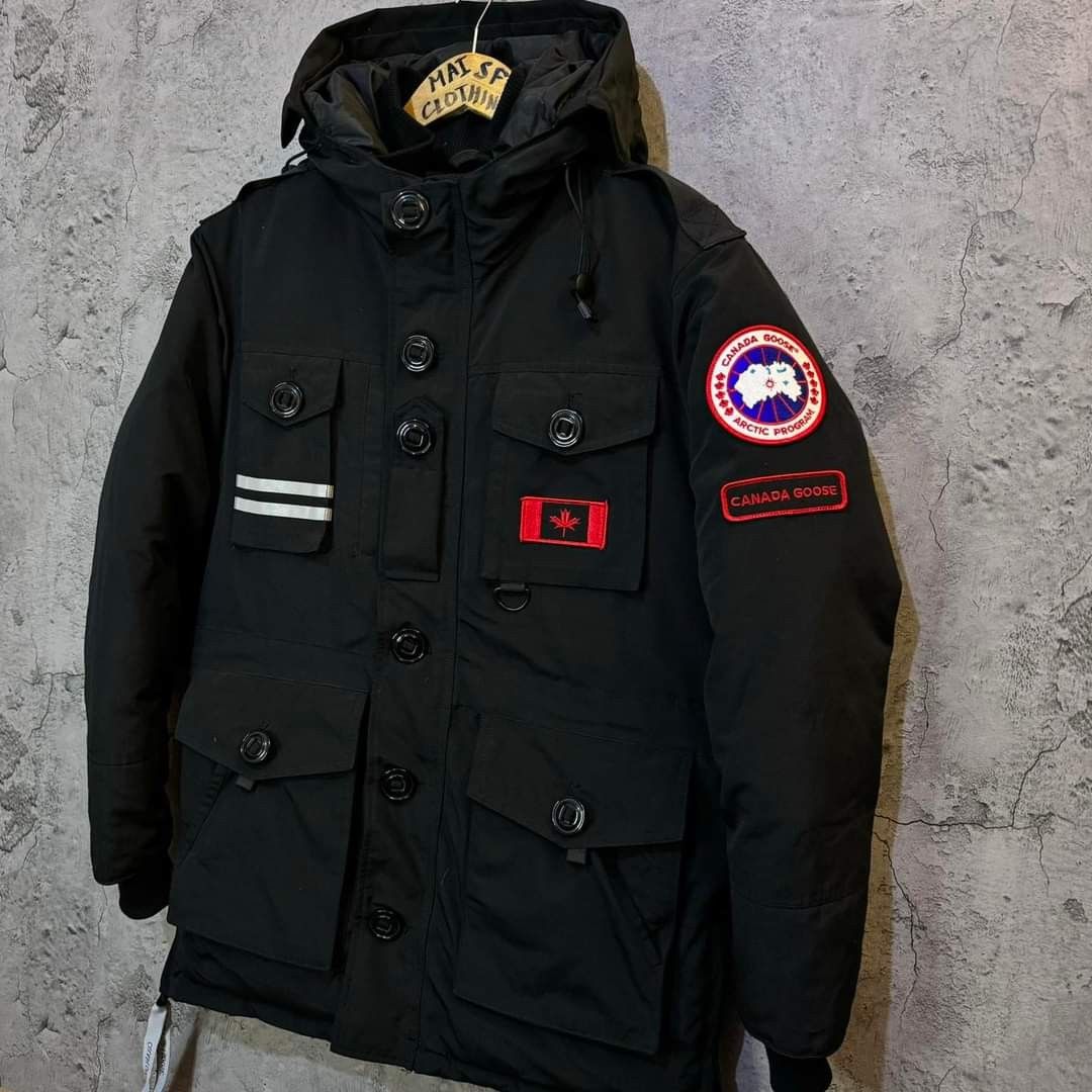 Canada goose